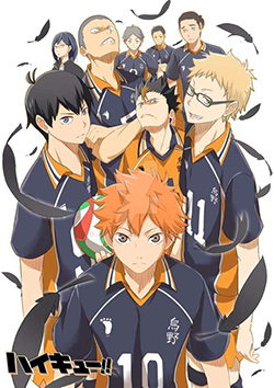 Haikyuu!! (2020), Haikyuu!! Fourth Season, Haikyuu!! 4th Season