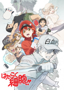 Cells at Work! 2nd Season, Hataraku Saibou 2nd Season